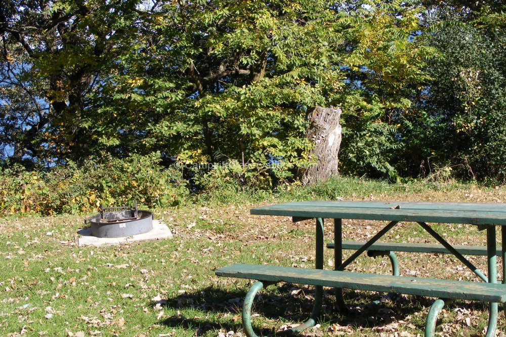 Campsite 098 in Marble Beach State Park Campground at Marble Beach
